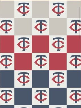 NWT MLB MINNESOTA TWINS Ombré Styled Collection Buttery Blanket 50x70